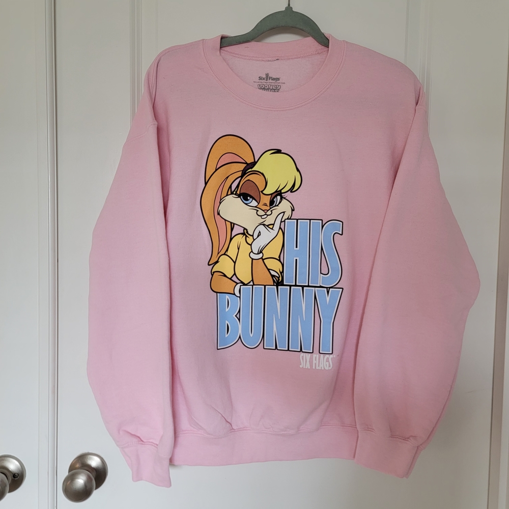 Looney Tunes Pink Sweatshirt